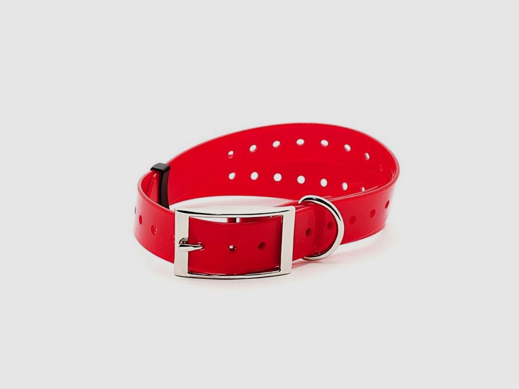 Halsband für Hund NUMaxes rot Mod. COL080808, Bild 2 von 2