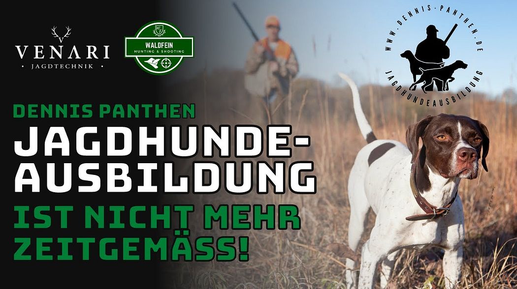 Dennis Panthen spricht Klartext: "Jagdhundeausbildung in Deutschland ist nicht mehr zeitgemäß!"