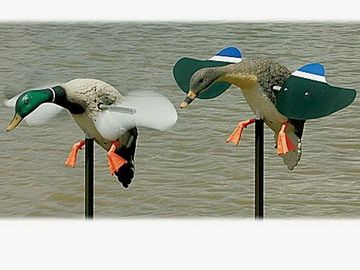 MOJO Outdoors™ Lock-Enten motorbetrieben
