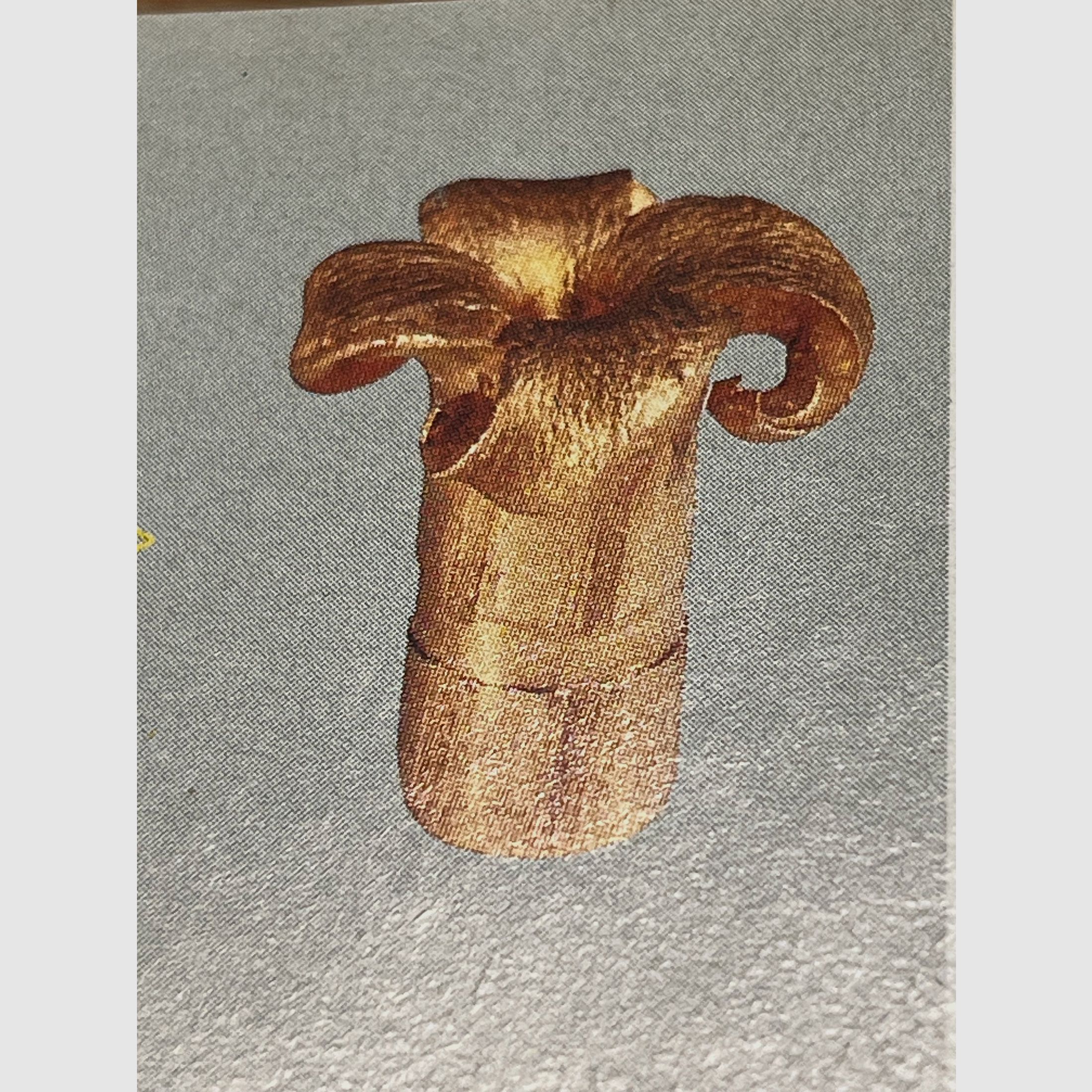 MEN proyectil de superficie inclinada .308 Win