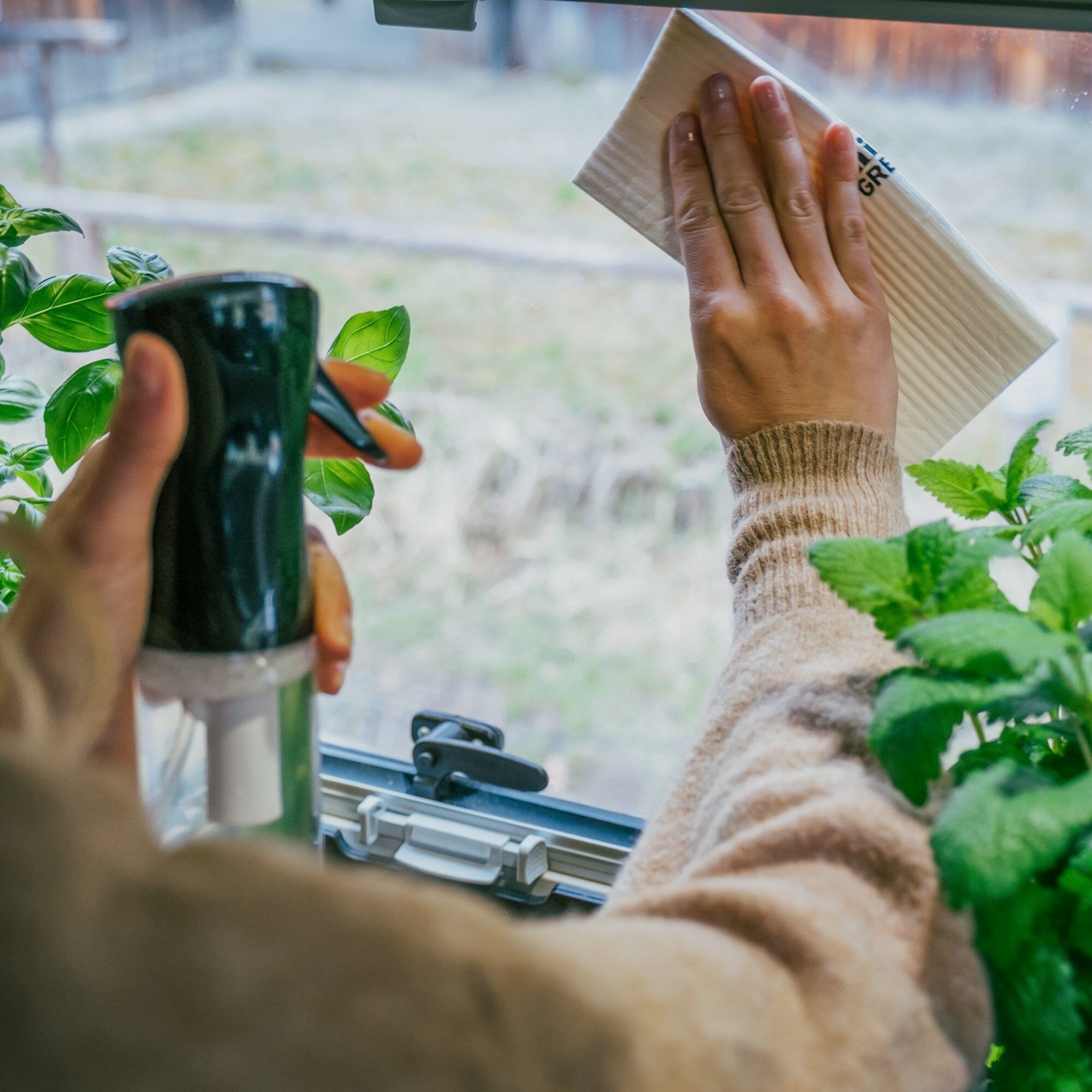 Panni Spugna Vegani Eco.Panno.Spugna., immagine 5 di 7
