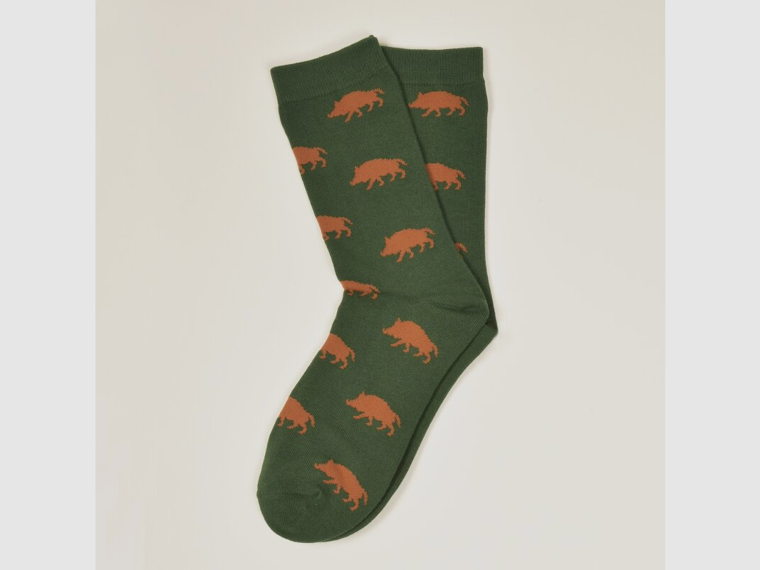 Tie dachshund socks wild boar