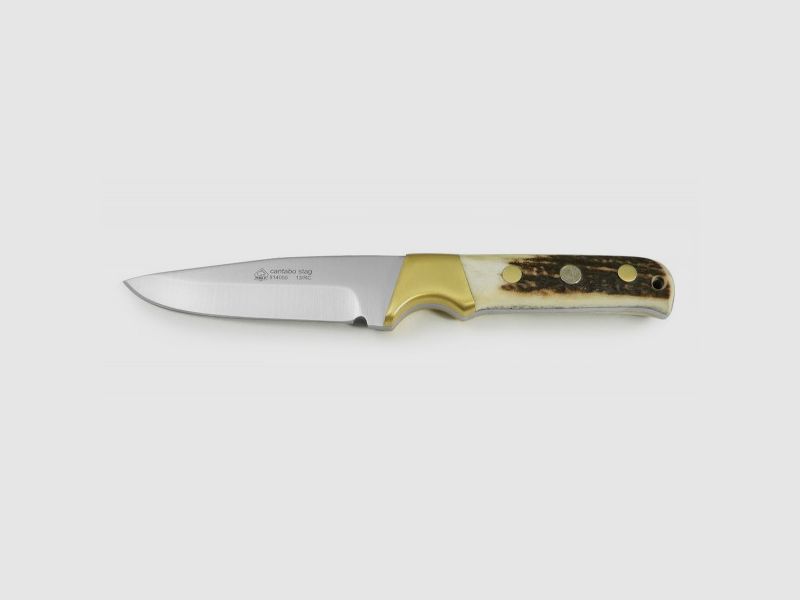 PUMA IP cantabo, stag