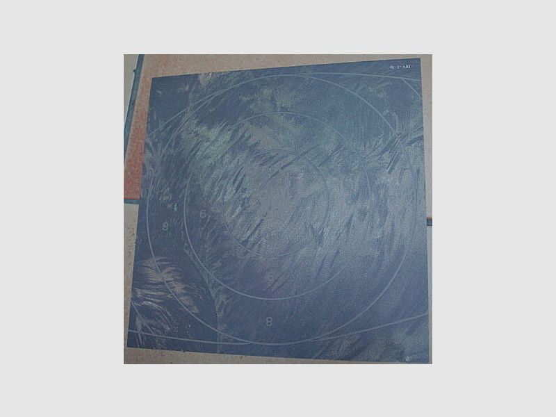 Deutscher Jagdverband Spiegel DJV Jagdscheibe Nr2 stehender Keiler (alt Version)