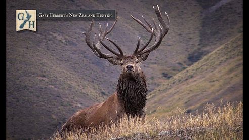 2015 Gary Herbert's New Zealand Hunting Promo