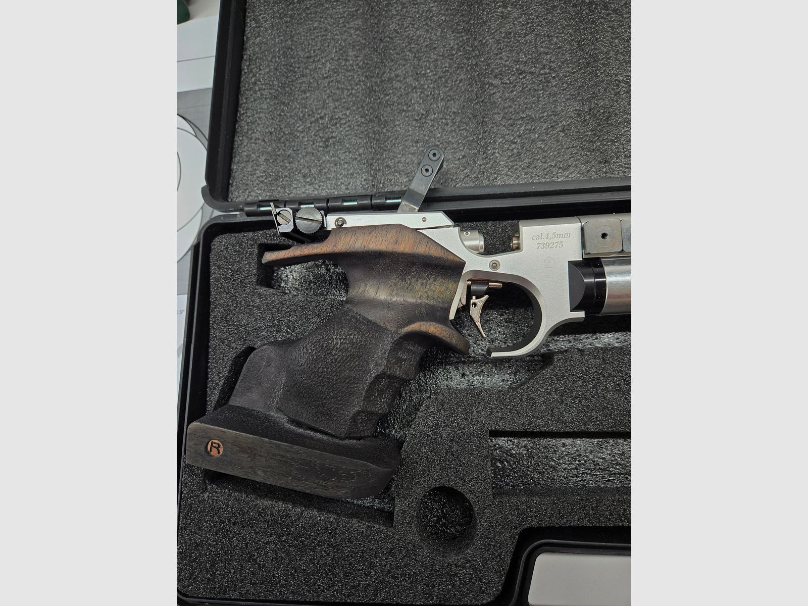 Steyr LP 10 with Rink grip