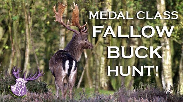 MONSTER MEDAL CLASS FALLOW BUCK HUNT!