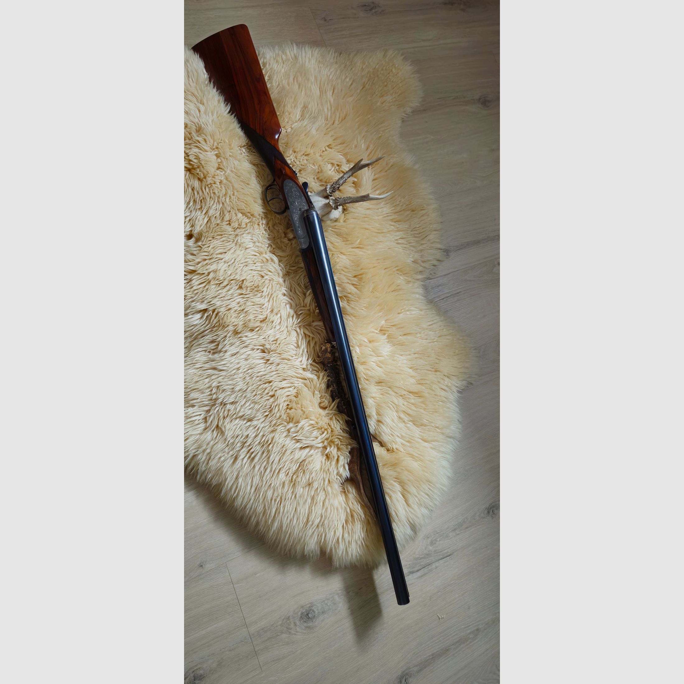 Rottweil shotgun model 94 SE