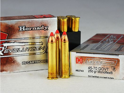 Hornady .45-70 Gov. MONOFLEX 250 grs, BEZ OŁOWIU 1 opakowanie (20 strzałów po 3,995 €*)