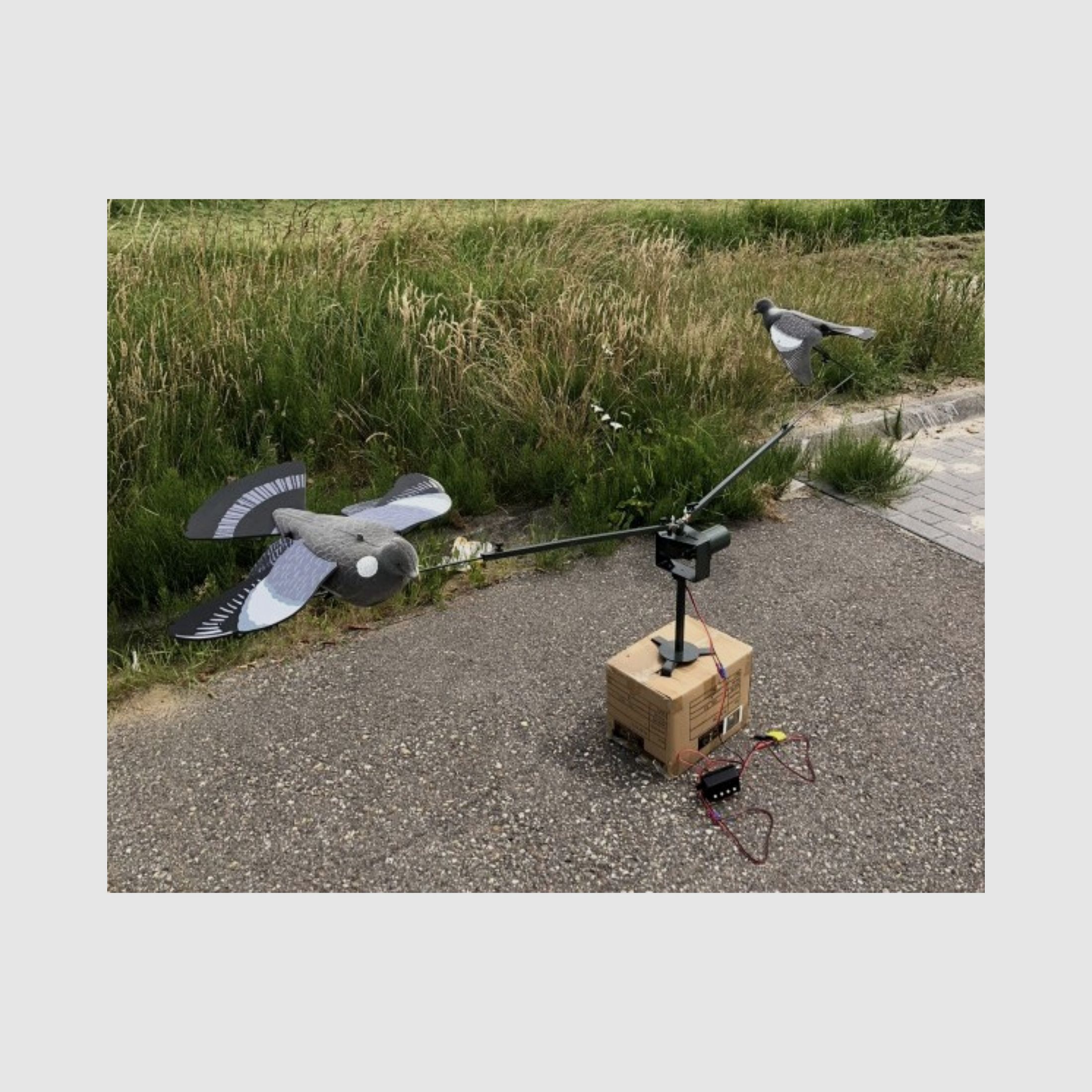 Lokvogel carrousel met snelheid regeling
