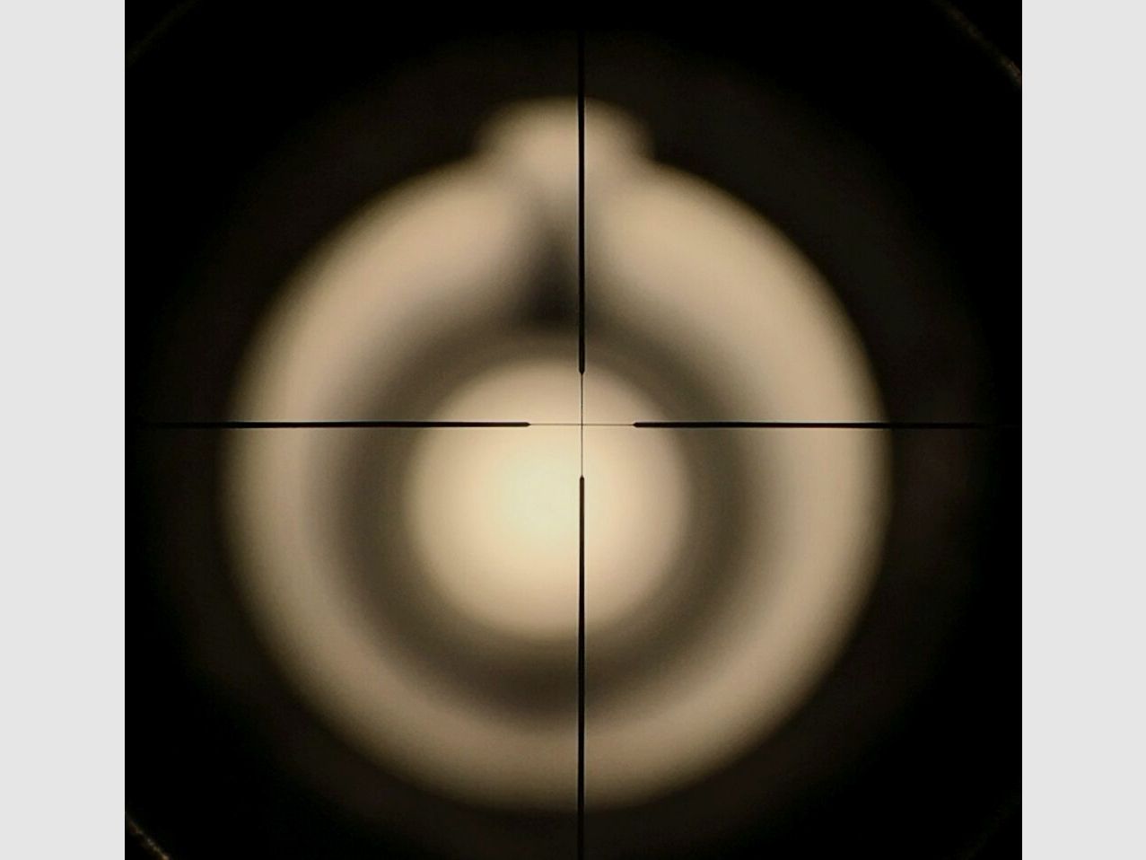 Ruger Mini 14 - Ranch Rifle