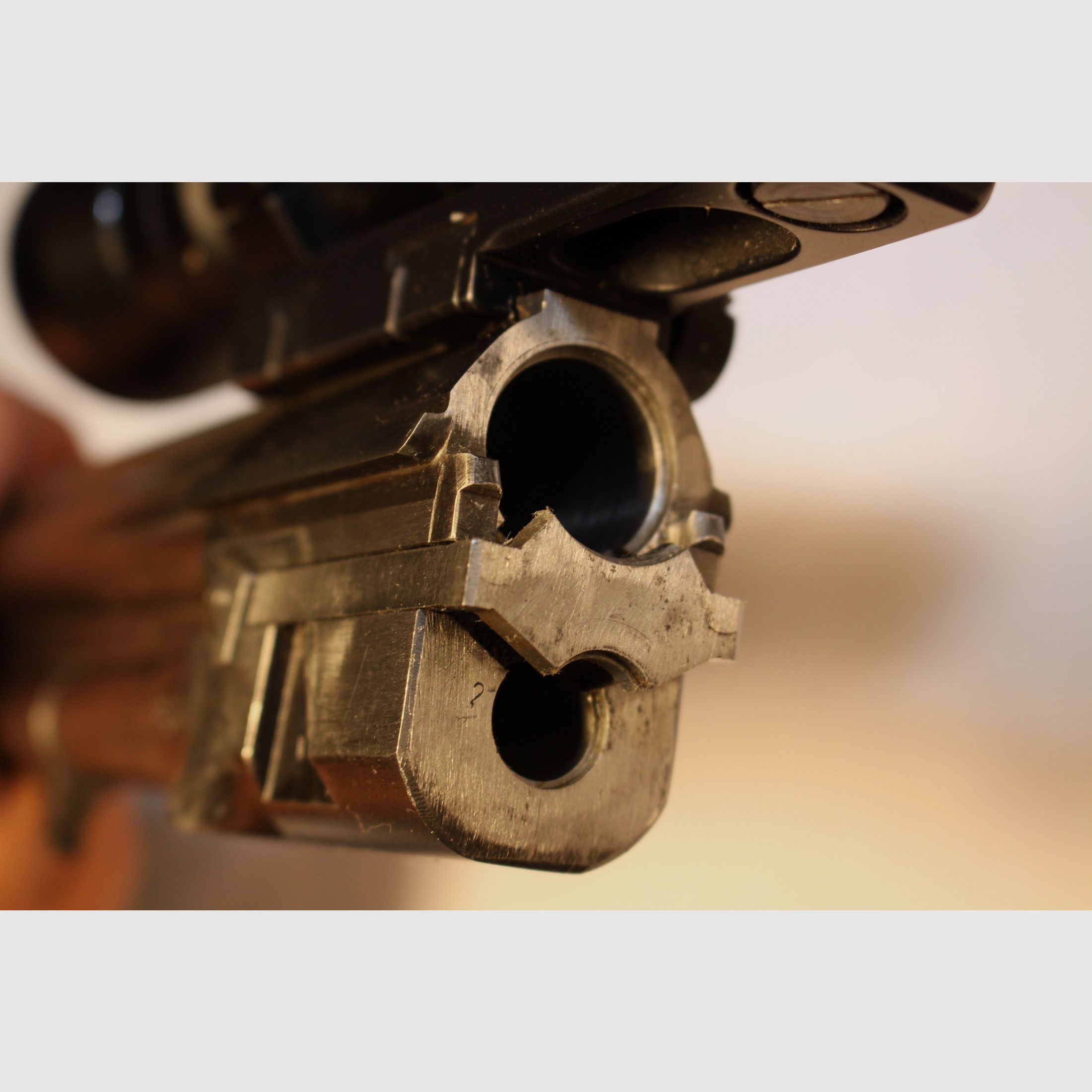 Brno Arms BBF für den Drückjagd-  Durchgehschützen in 12/70 und 7x65R.