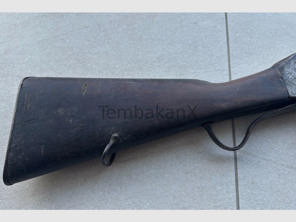 Enfield Bj. 1875 (vermutlich) .445SuperMag