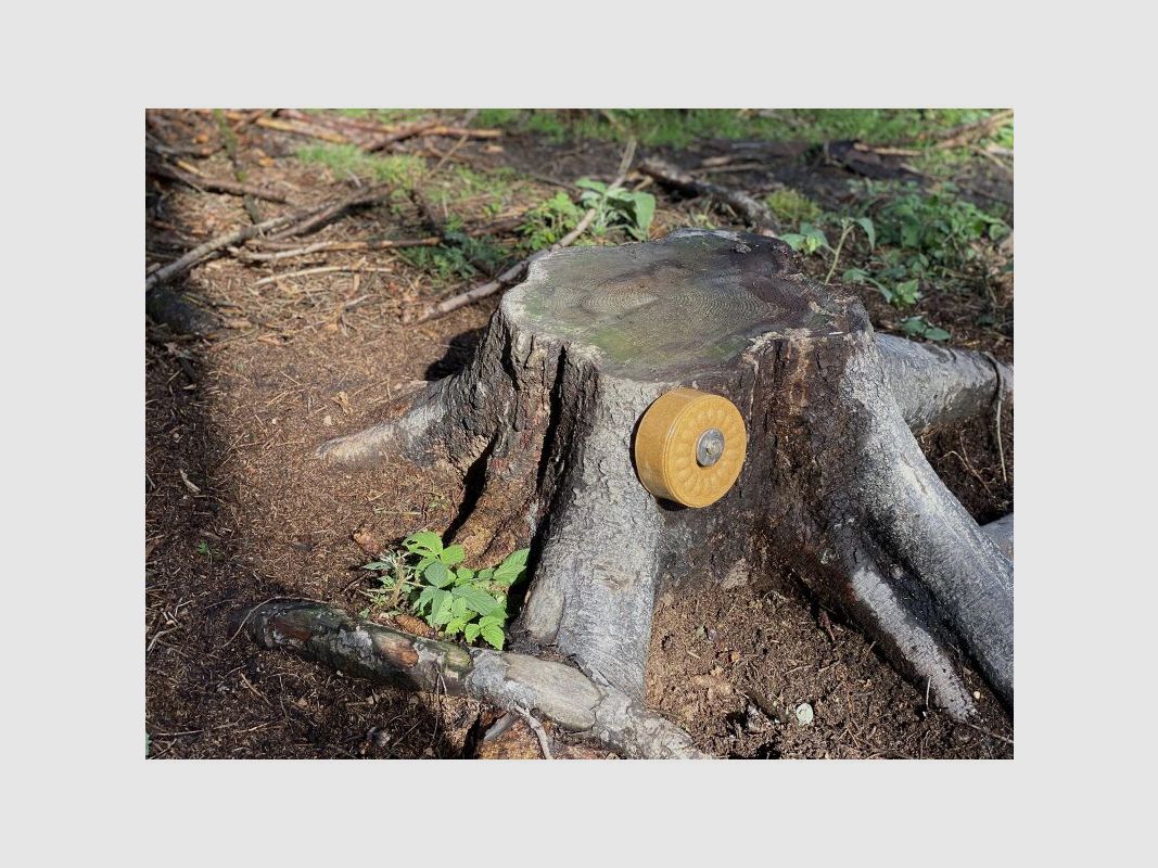 Wildlutscher Schraubenset für Baumbefestigung