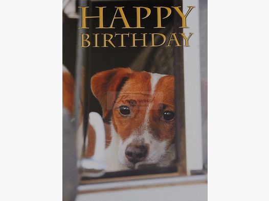 Geburtstagskarte Jack Russell