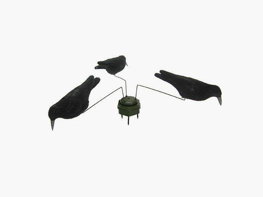 Magnete per corvi