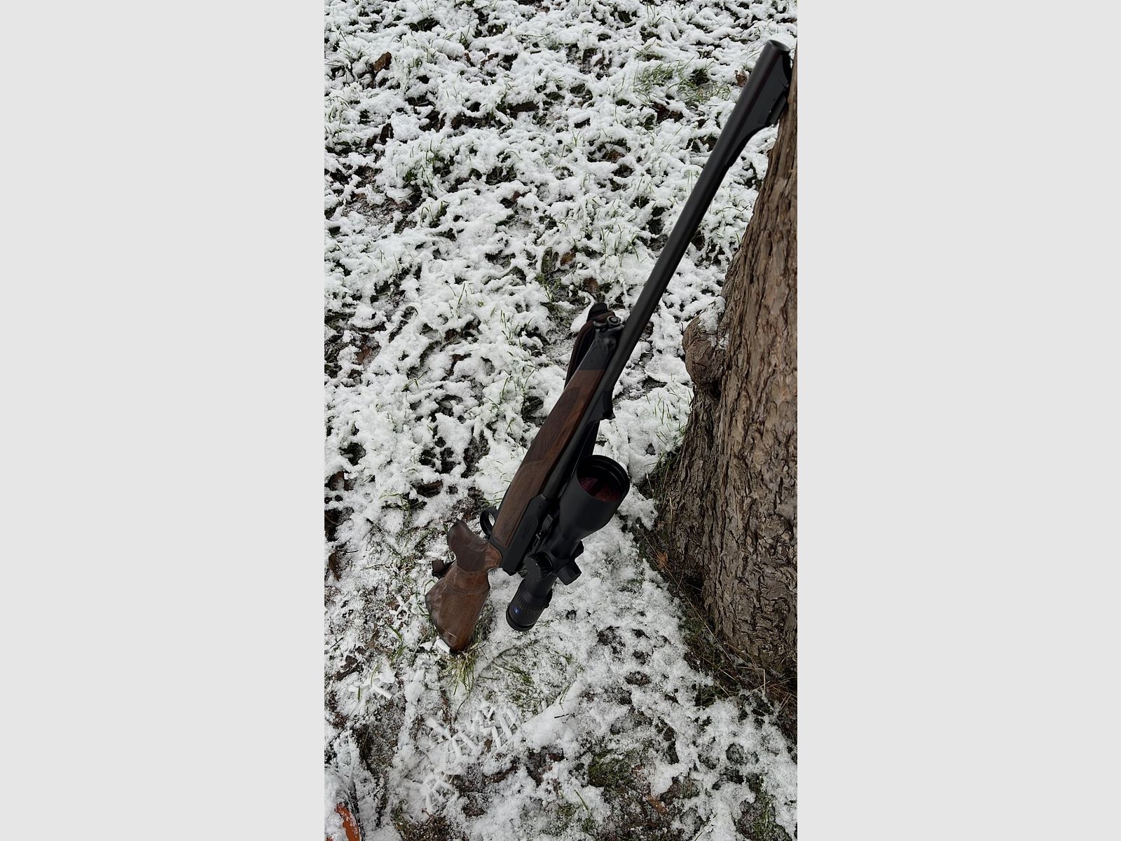 Sauer 404 Classic Kaliber 8x57JS