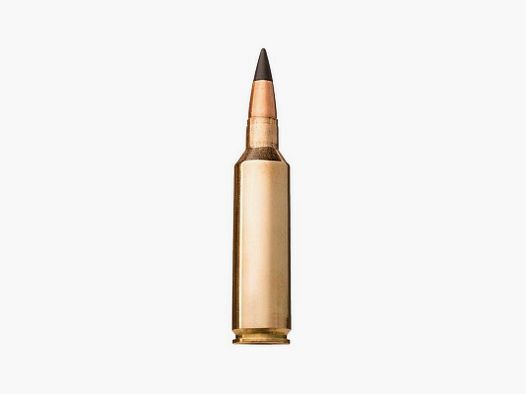 WINCHESTER BALA EXTREME POINT 270 WIN 130GR