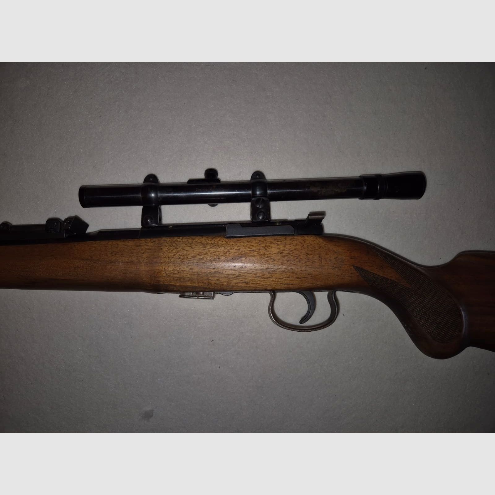 small caliber rifle