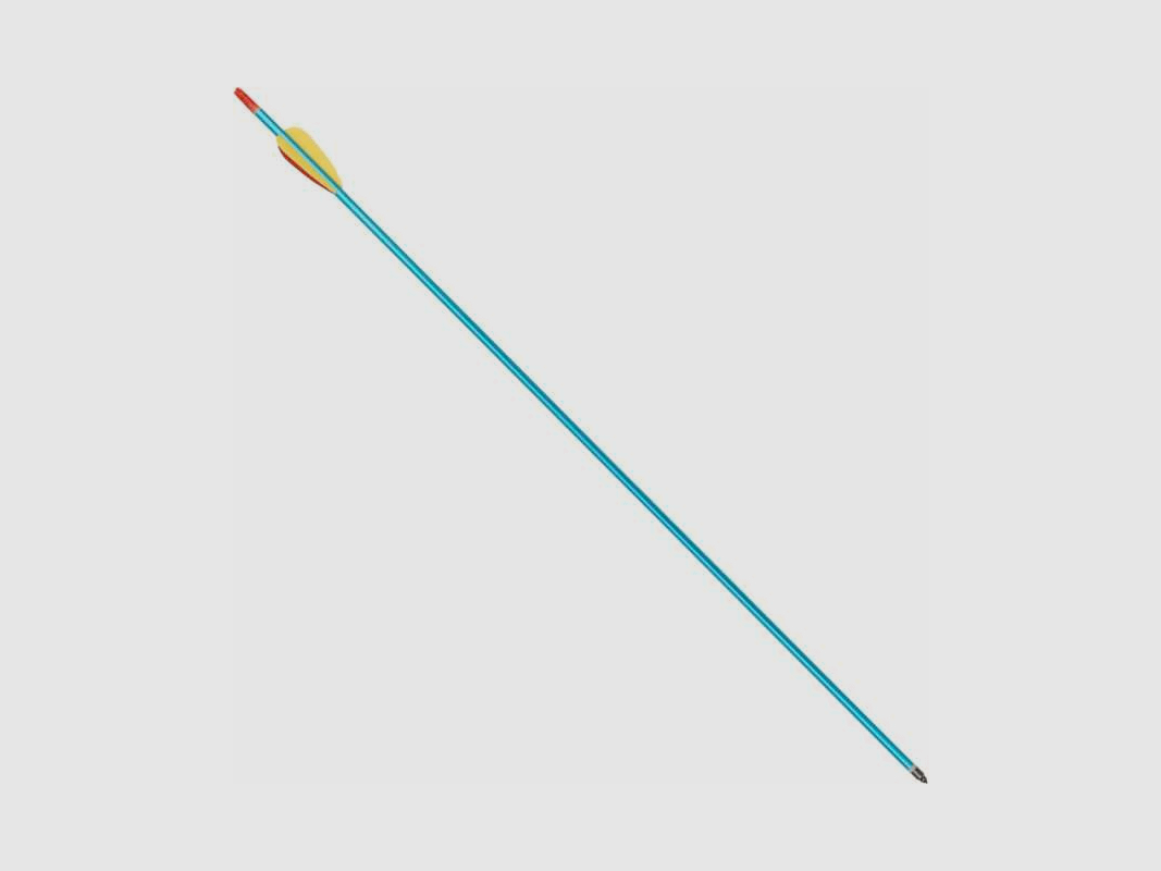 Haller Ersatzpfeile Aluminium Pfeil 30" Set 10 Stück