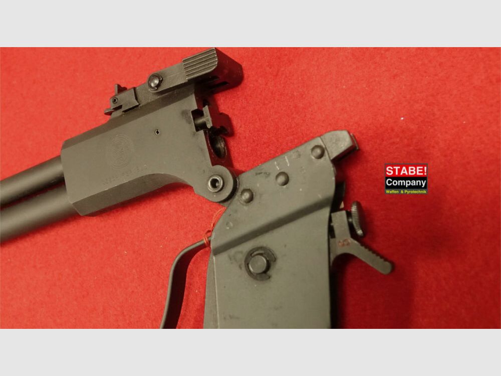 Springfield / CZ Scout M 6