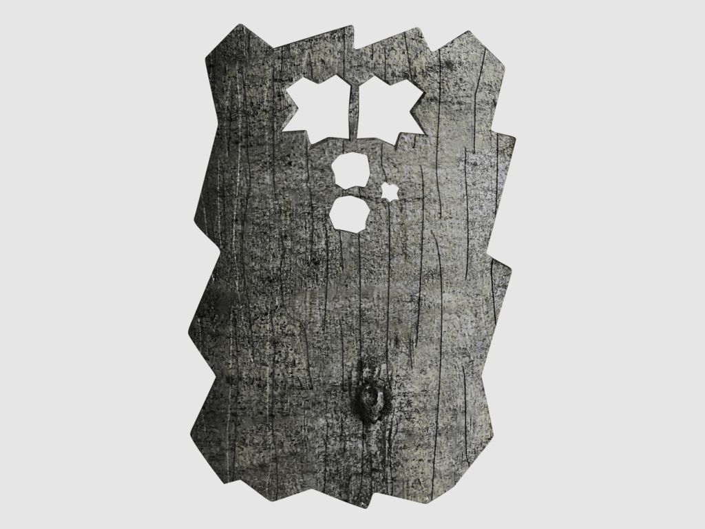 Minox front cover for DTC 460 (beech)