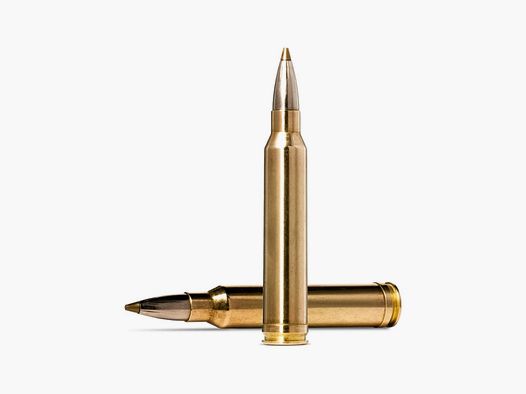 Norma Evostrike Patronen - Kal. 300 Win Mag