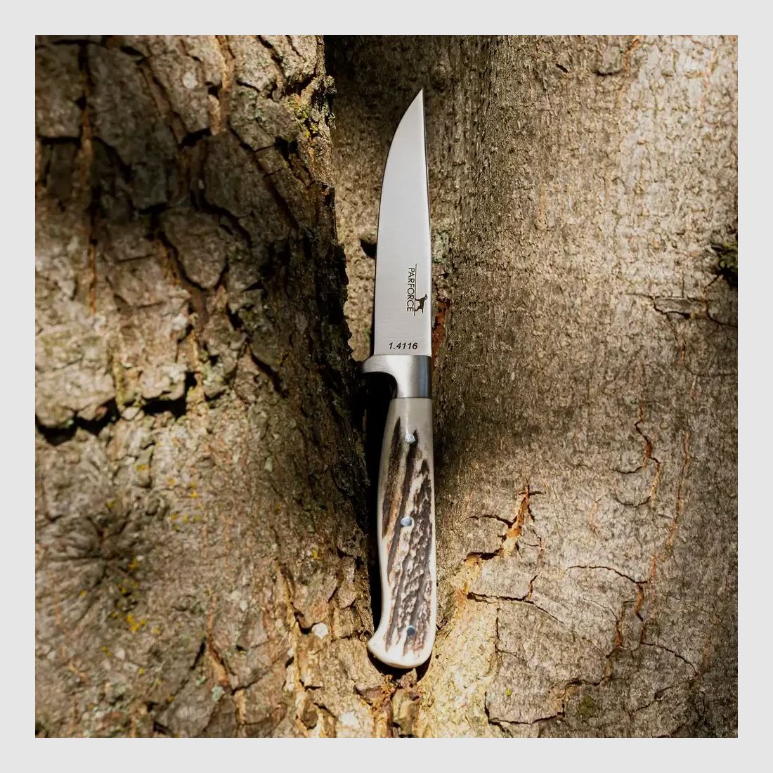 Parforce Jagdnicker Capreolus