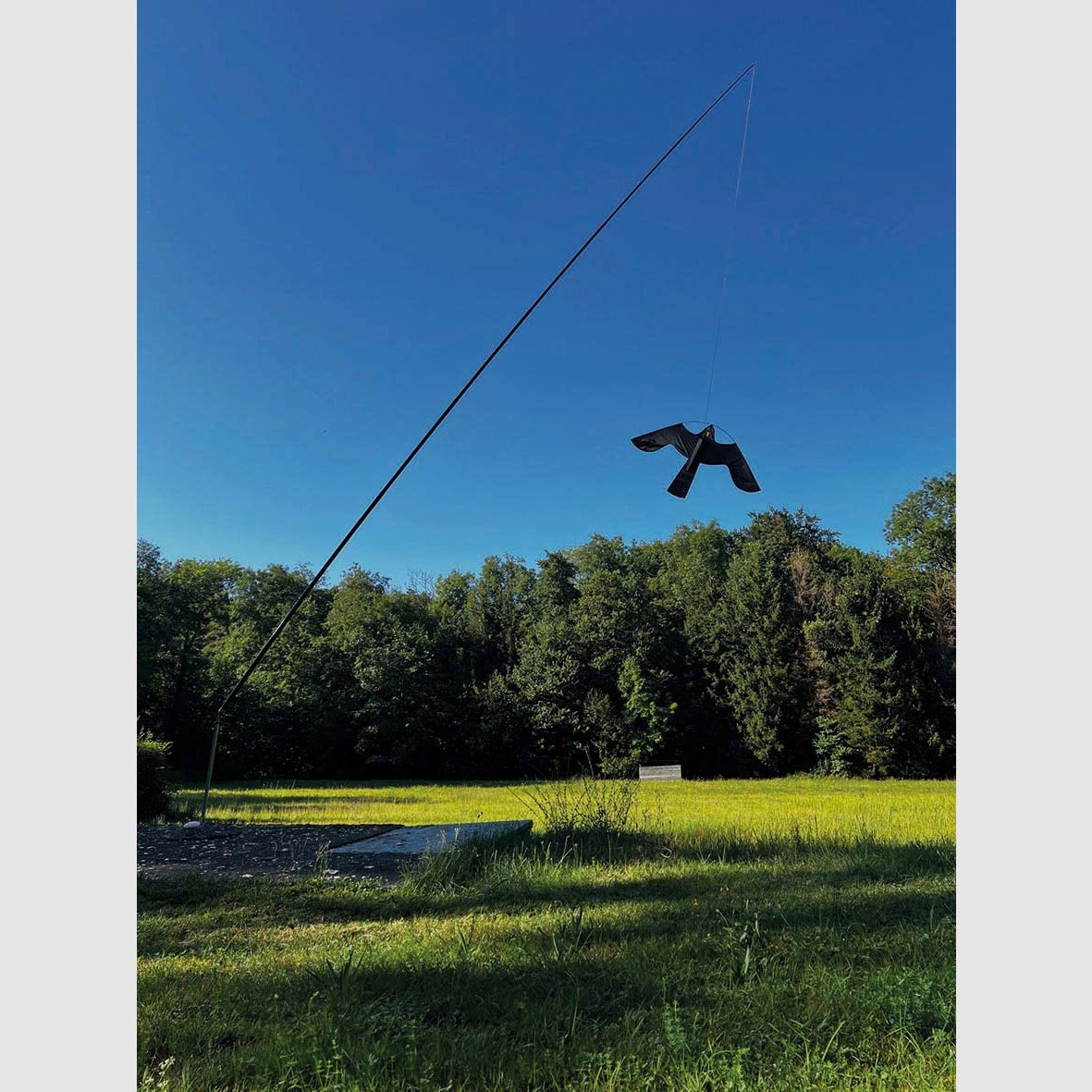 Windrotierende Vogelscheuche mit 4m Mast