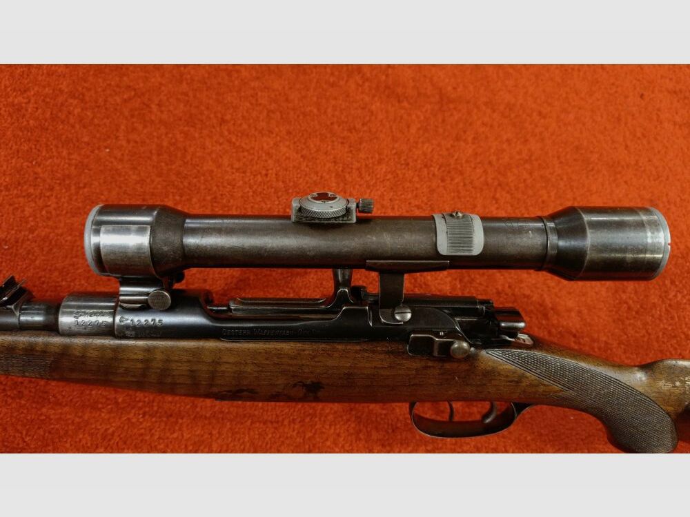 Steyr bez 7x57