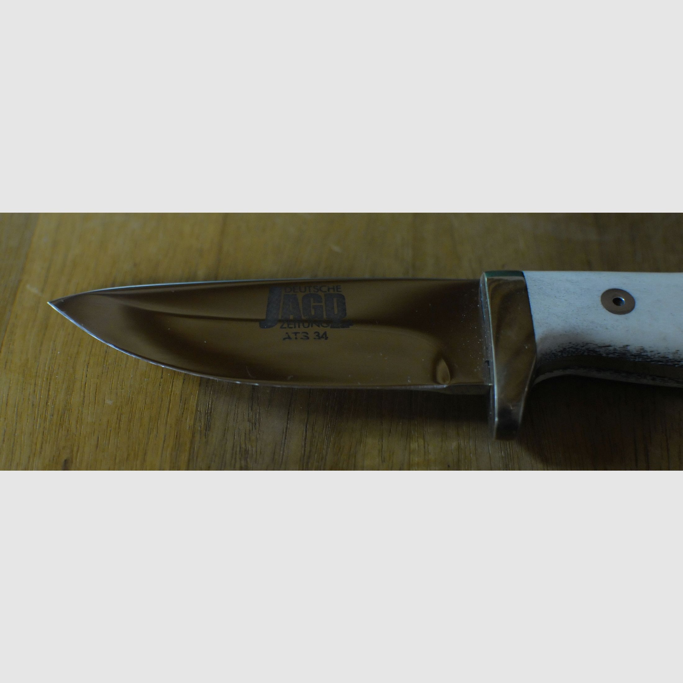 Hunting knife ATS34 mammoth ivory new