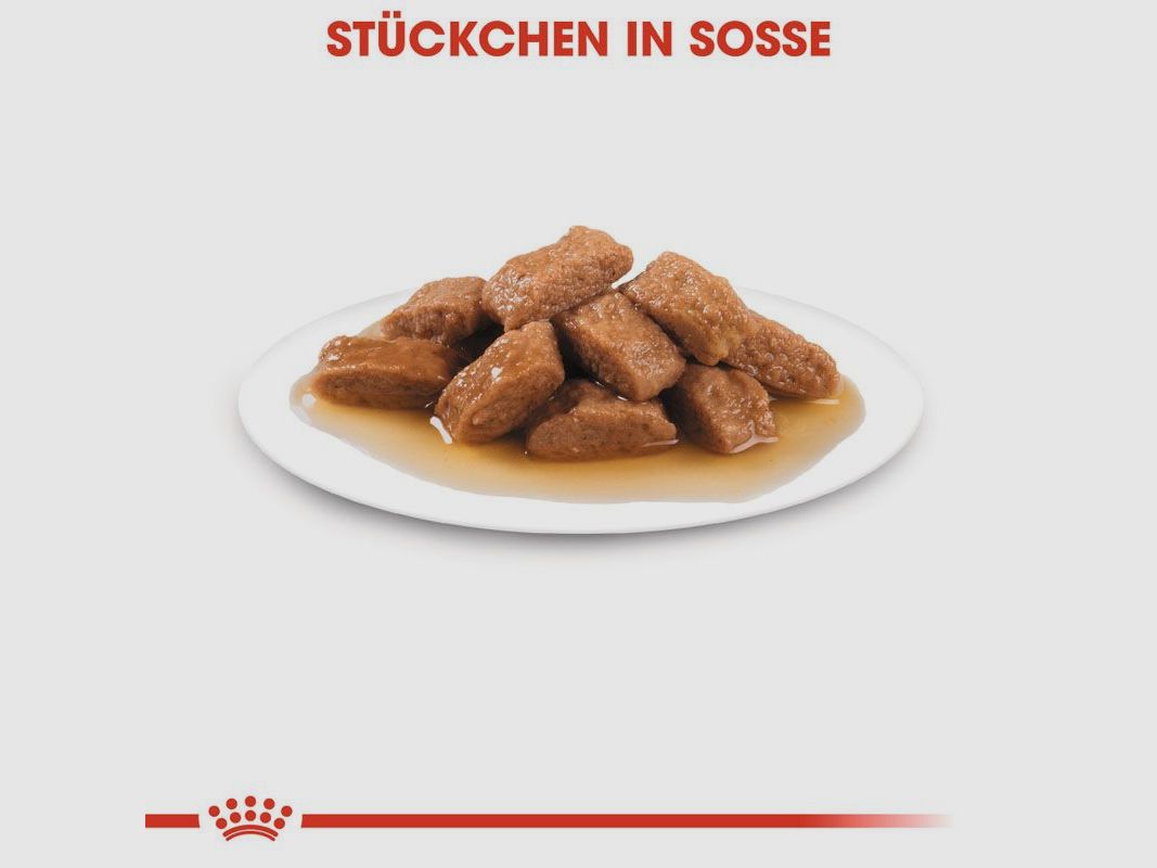 ROYAL CANIN Mittelgroße Hunde Nassfutter Medium Adult 10x140 g