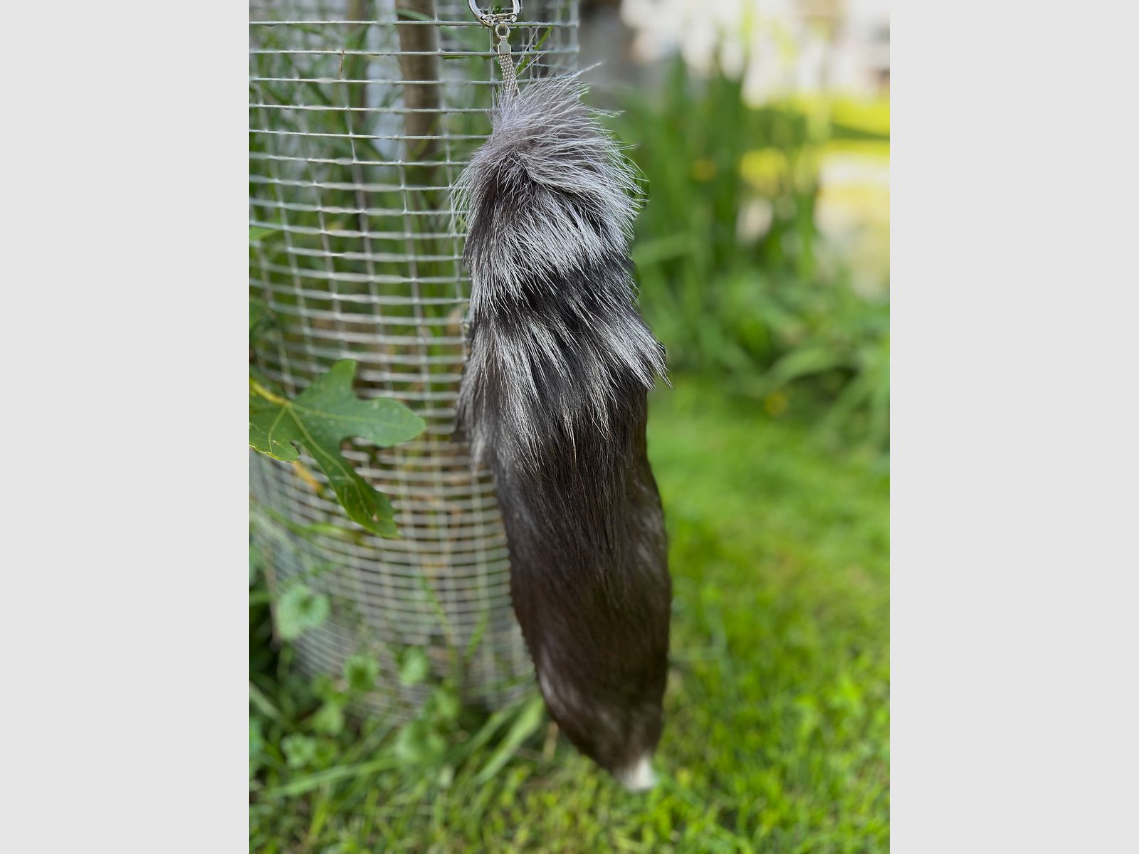 Real silver fox tail with keychain