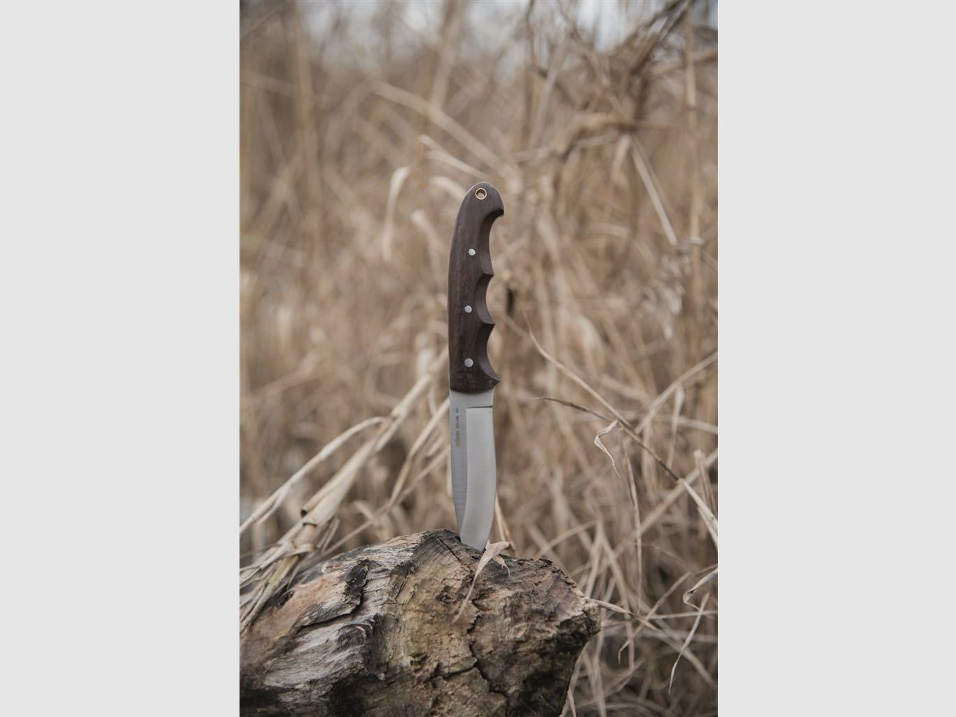 Dörr Jagd- und Outdoormesser Blackwood BW-108, Bild 4 von 6