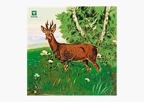 DJV-Luftgewehrscheibe Nr. 1 (Rehbock, 10m, 100 Stück)