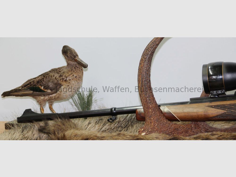 Mauser 66S im gesuchten Kaliber .308 Win. mit Meopta - .308 Win.