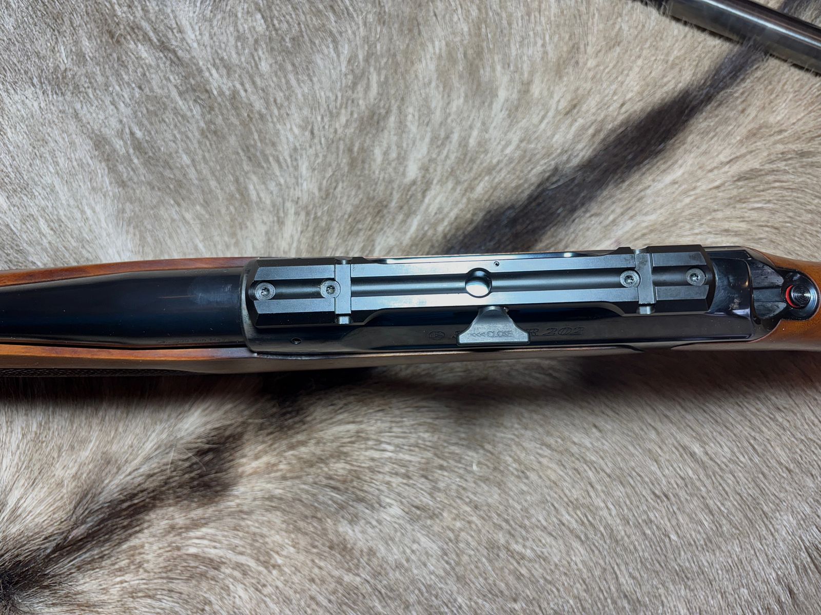 Sauer 202 .300 WinMag Elegance