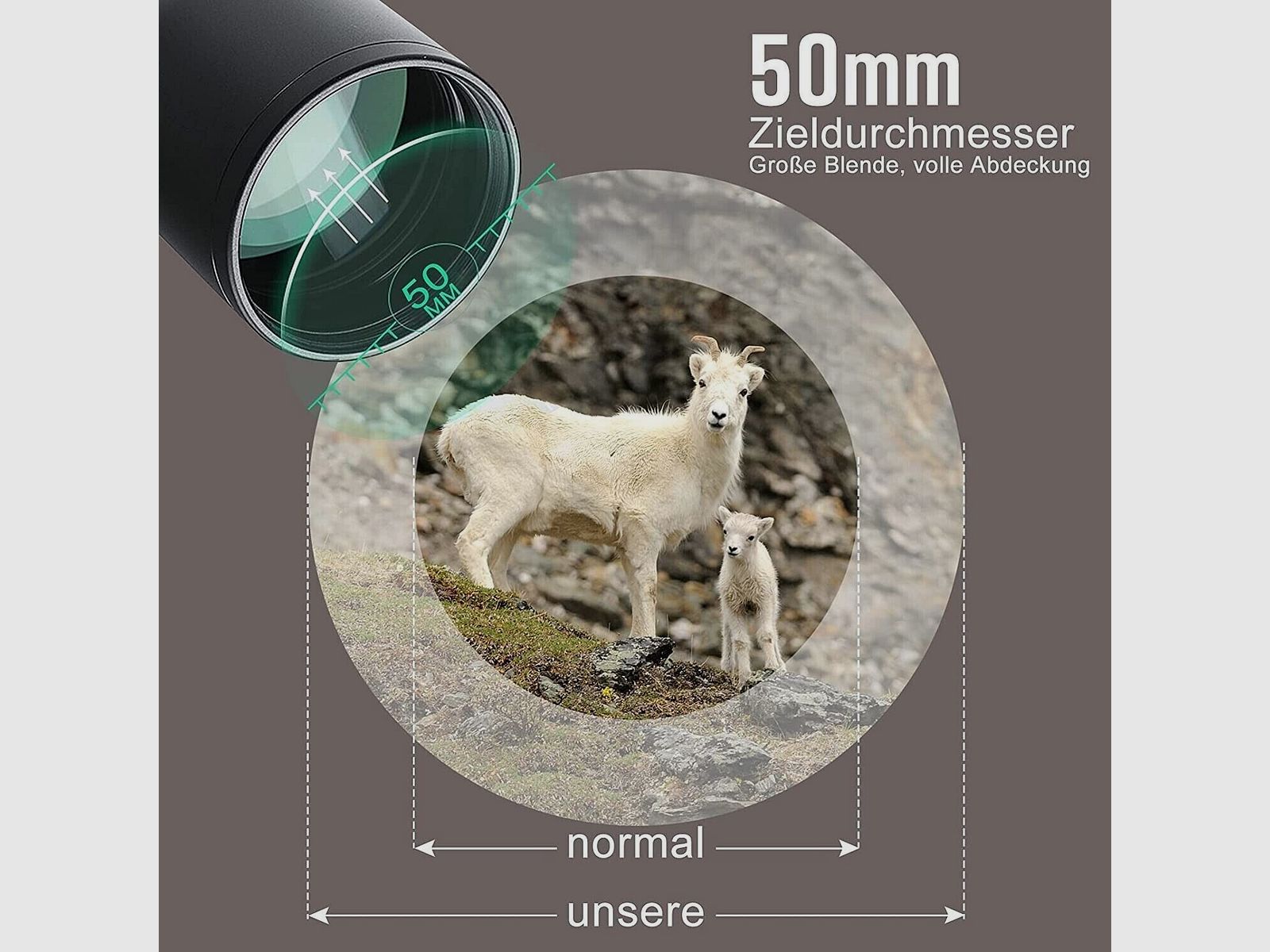 6-24x50 Gewehrzielfernrohre inkl. 11mm,Rot&Grün,für Jagd Softair und Sport