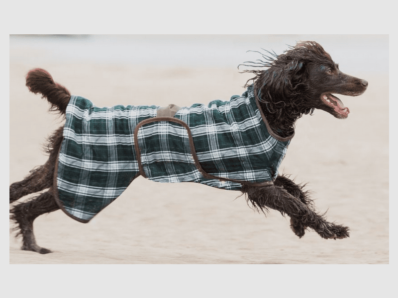 Siccaro Splash manteau de séchage pour chien