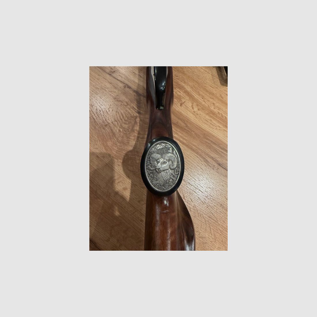 Blaser BBF 700/88 Luxus       .30-06    12/70