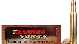 Erfahrung Barnes TTSX .30-06 150grs 9,7g