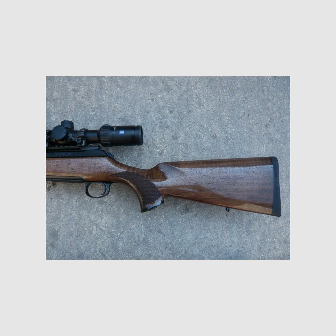Sauer 101