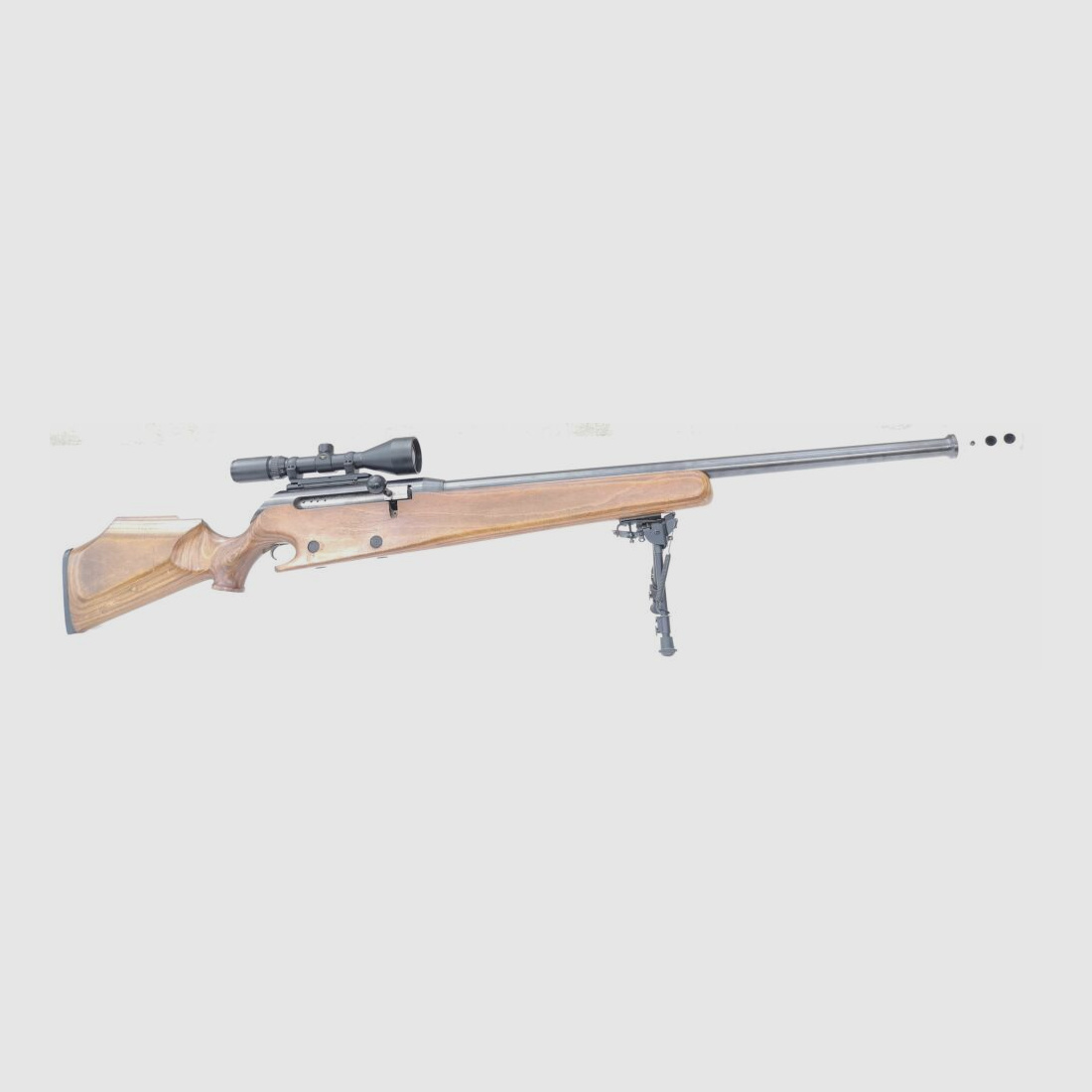 unknown 50BMG - single shot with laminated wood stock