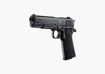 Colt Colt Government 1911 A1 nero