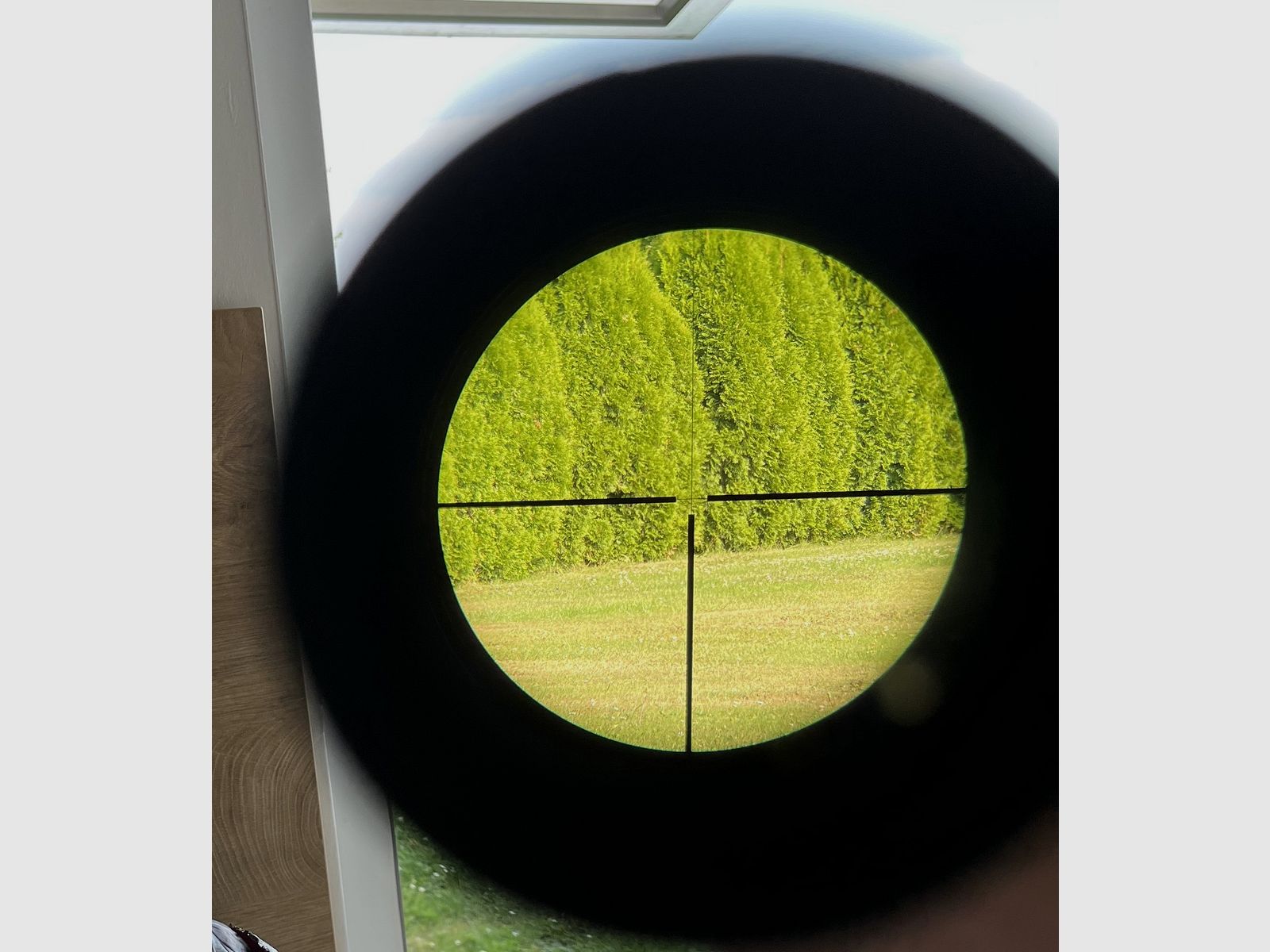 ZEISS Diavari VM 3-12x56 T z podświetlanym krzyżem na montażu siodłowym Blaser