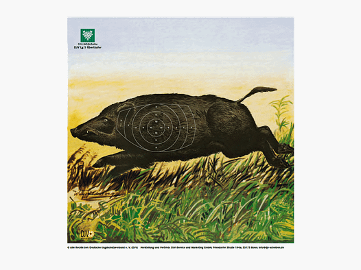 DJV Air Rifle Target No. 5 (Fleeting Runner, 10m, 100 pieces)