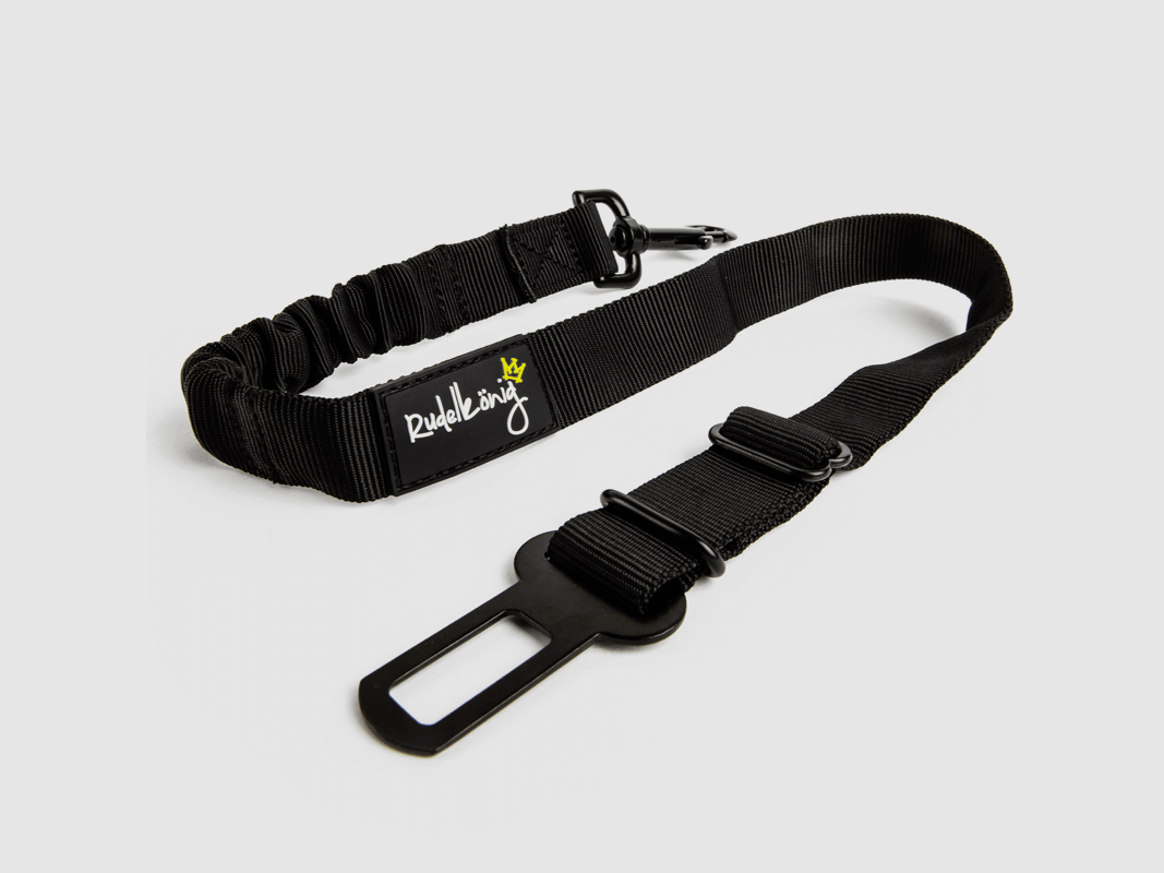Ceinture de sécurité pour chiens Pack Leader