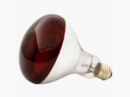 Infraroodwarmtelamp 250 W