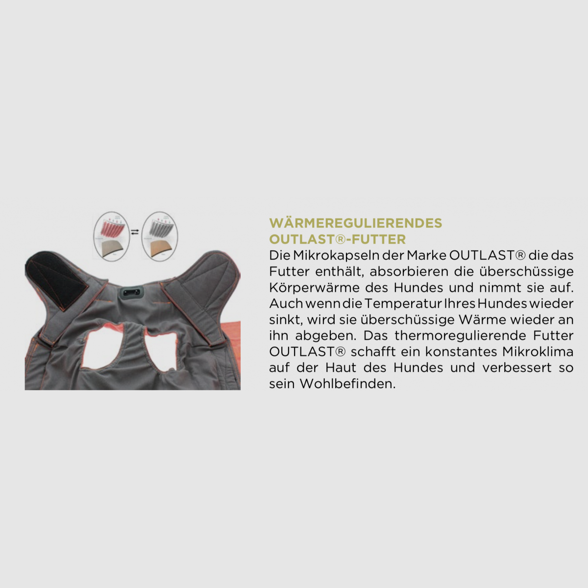 Protect dog ARMOR® V2, Bild 6 von 22