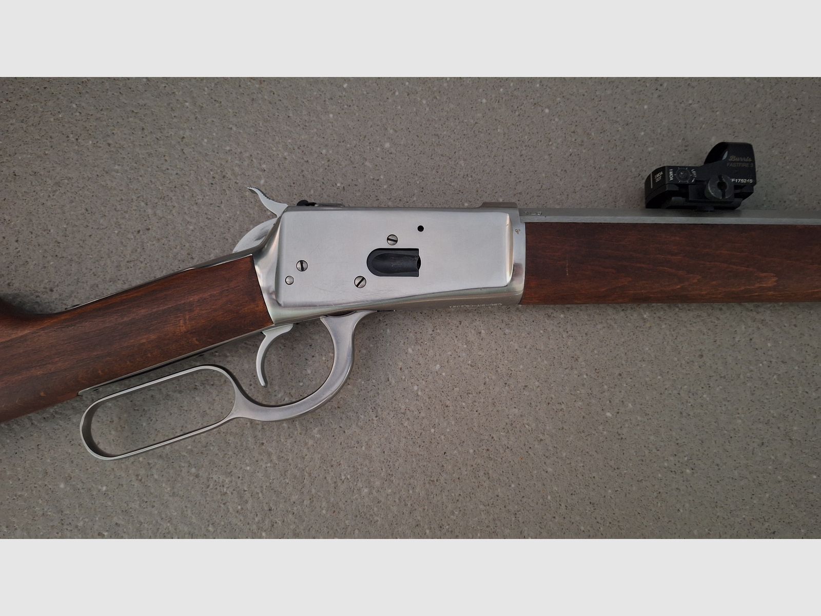 Puma Octagonal, Rossi .44 Magnum 24 inch stainless con Burris Fastfire 3
